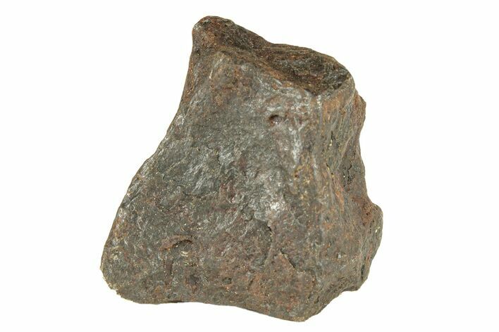 Canyon Diablo Iron Meteorite ( g) - Arizona #270781